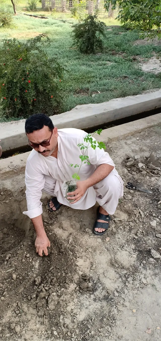 Green Seekers Activity